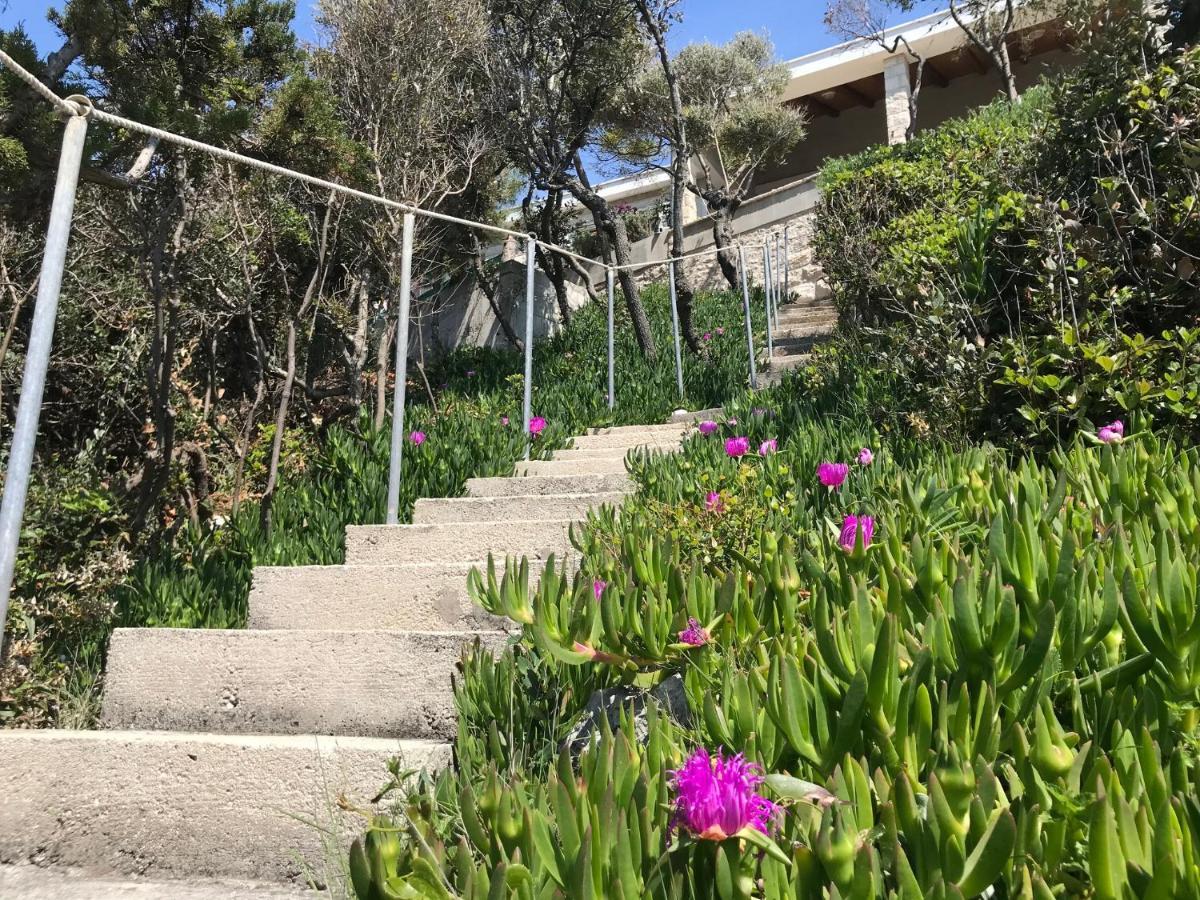 הוילה Zrnovo Contessa Robinson House מראה חיצוני תמונה